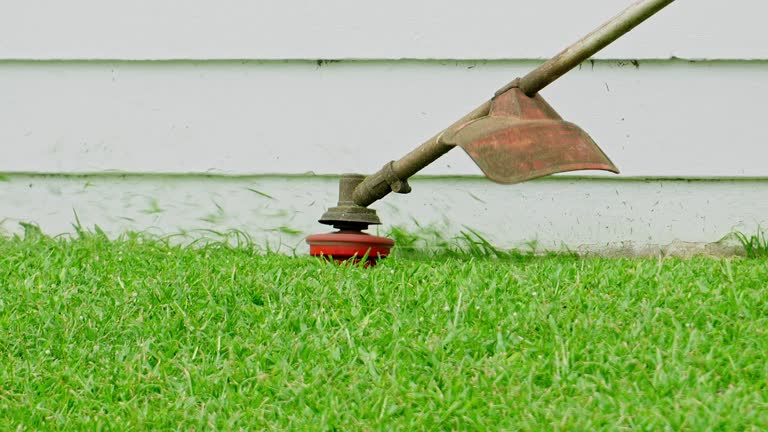 Best Storm Damage Tree Cleanup  in Charter Oak, CA