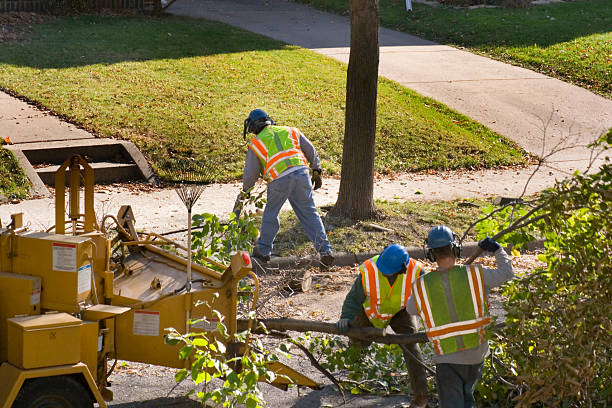 Best Tree Risk Assessment  in Charter Oak, CA