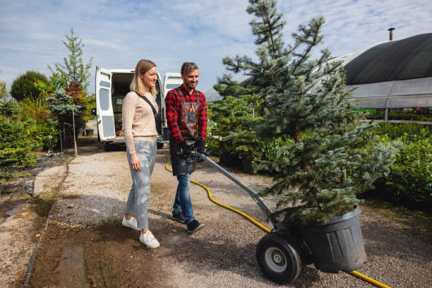 Best Arborist Consultation Services  in Charter Oak, CA